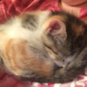 Meet your Posher, Kaitlin